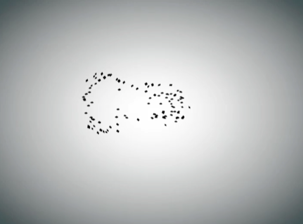 Still from flocking algorithm animation
