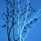 Projection mapping installation Honey Locust Layers
